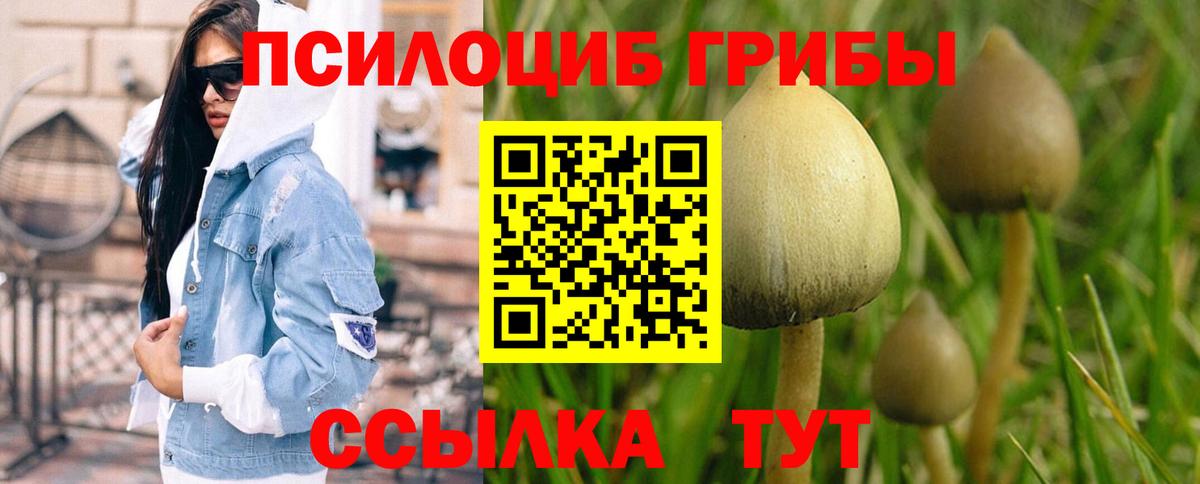 Галлюциногенные грибы Psilocybine cubensis  Вход с VPN  Галлюциногенные грибы GOLDEN TEACHER  Советск 